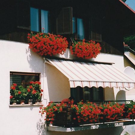 Apartament Zrm Center Idrija Zewnętrze zdjęcie